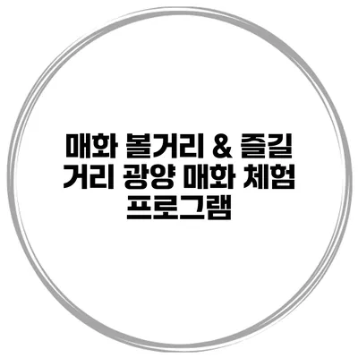 매화 볼거리 & 즐길 거리 광양 매화 체험 프로그램
