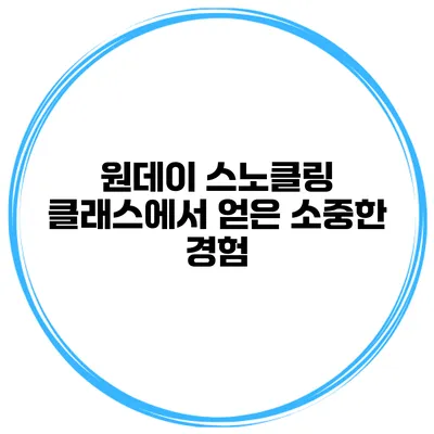 원데이 스노클링 클래스에서 얻은 소중한 경험